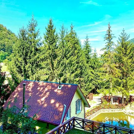 Котеджі Шаяниця З Озером, Водоспадом Біля Букового Лісу * שאיאן