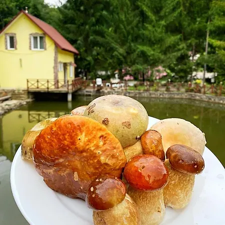 Котеджі Шаяниця З Озером, Водоспадом Біля Букового Лісу