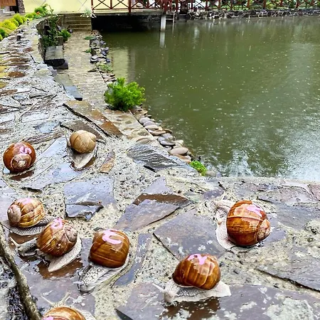 Котеджі Шаяниця З Озером, Водоспадом Біля Букового Лісу וילה