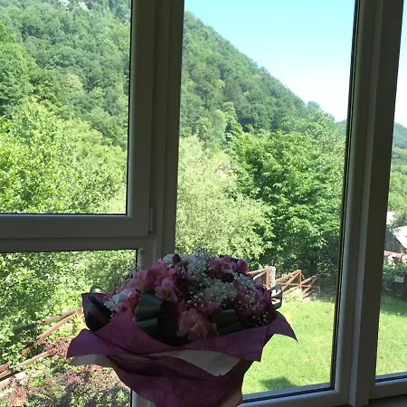 Котеджі Шаяниця З Озером, Водоспадом Біля Букового Лісу * שאיאן