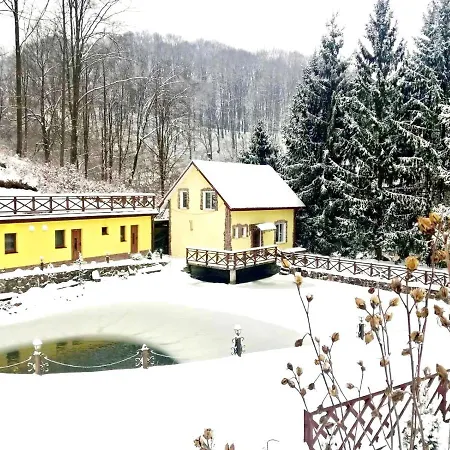 Котеджі Шаяниця З Озером, Водоспадом Біля Букового Лісу וילה